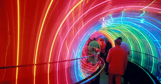 Where Imagination Runs Wild: The Image Works