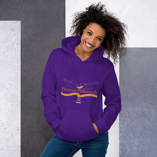 JOURNEY INTO IMAGINATION electronic philharmonic Hoodie